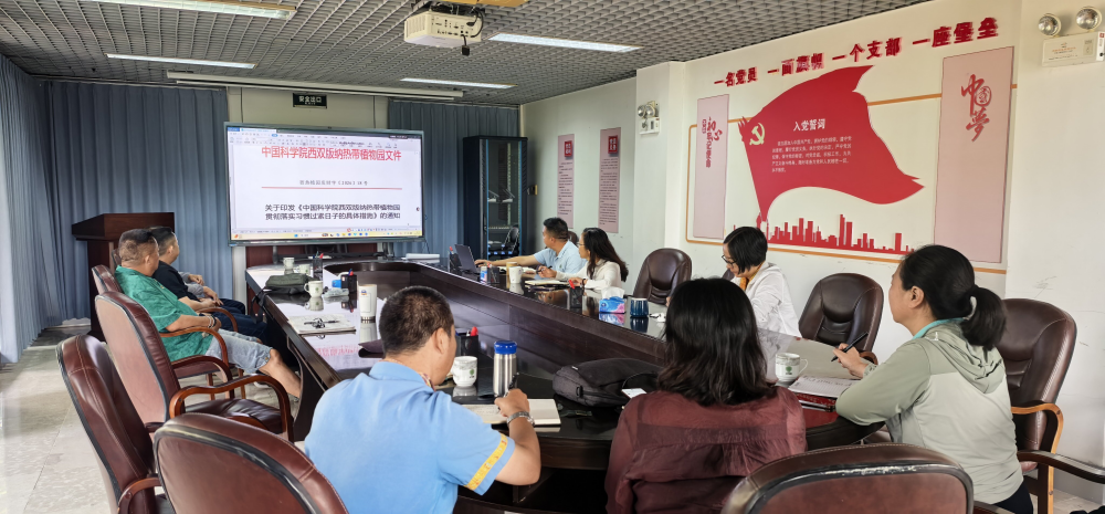 旅游管理部召开部门例会暨党小组集中学习扩大会